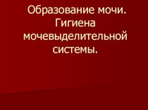 Презентация по биологии на тему: Строение и функции мочевыделительной системы. Профилактика заболеваний. (8 класс)