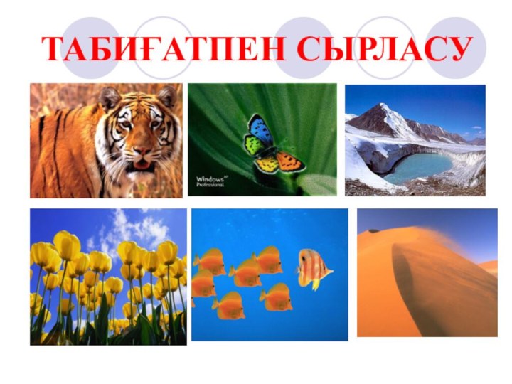 ТАБИҒАТПЕН СЫРЛАСУ