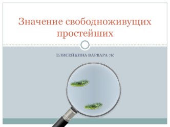 Презентация по биологии на тему: Значение свободноживущих простейших (7 класс)