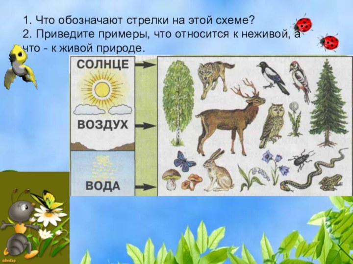 1. Что обозначают стрелки на этой схеме? 2. Приведите примеры, что относится