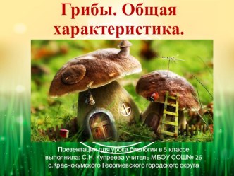 Презентация к уроку биологии в 5 классе по теме Грибы. Общая характеристика