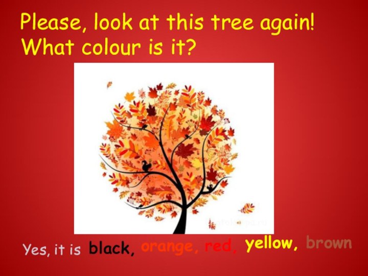 Please, look at this tree again! What colour is it?Yes, it is black, orange,red,yellow,brown