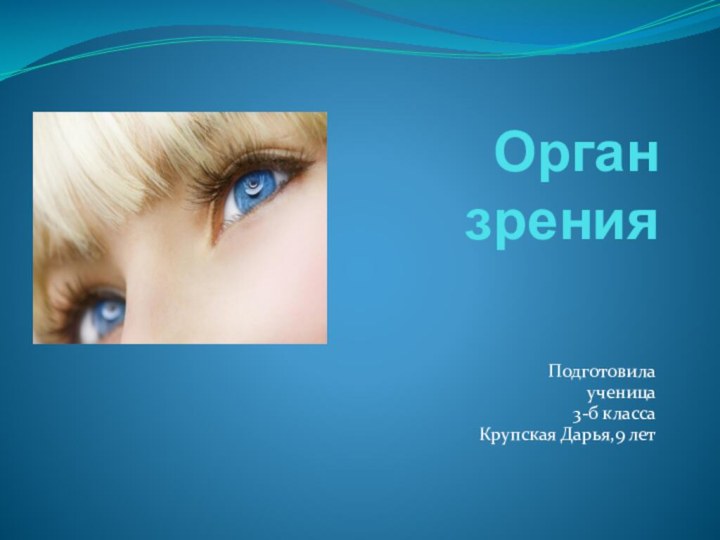 Орган зренияПодготовила ученица 3-б класса Крупская Дарья,9 лет