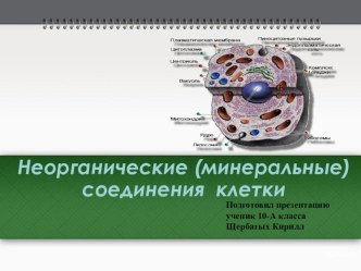 Презентация по биологии на тему  Вода и неорганические соединения ( 10 класс)