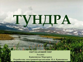 Презентация по окружающему миру на тему Тундра (3 класс)