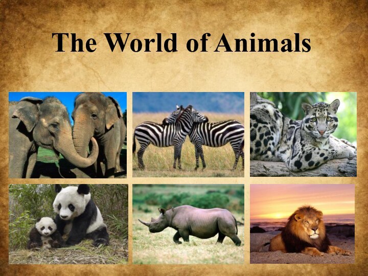 The World of Animals