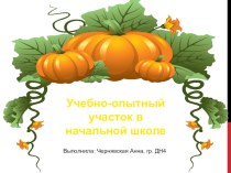 Презентация по теме Учебно-опытный участок в начальной школе (проект)