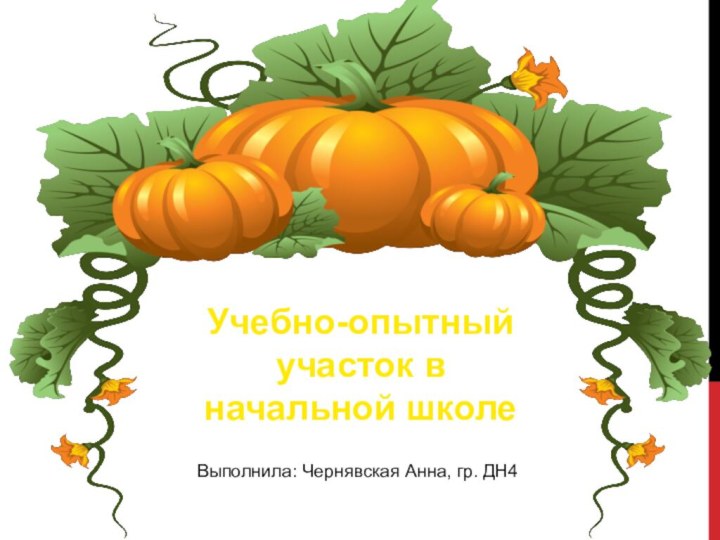 Учебно-опытный участок в начальной школеВыполнила: Чернявская Анна, гр. ДН4