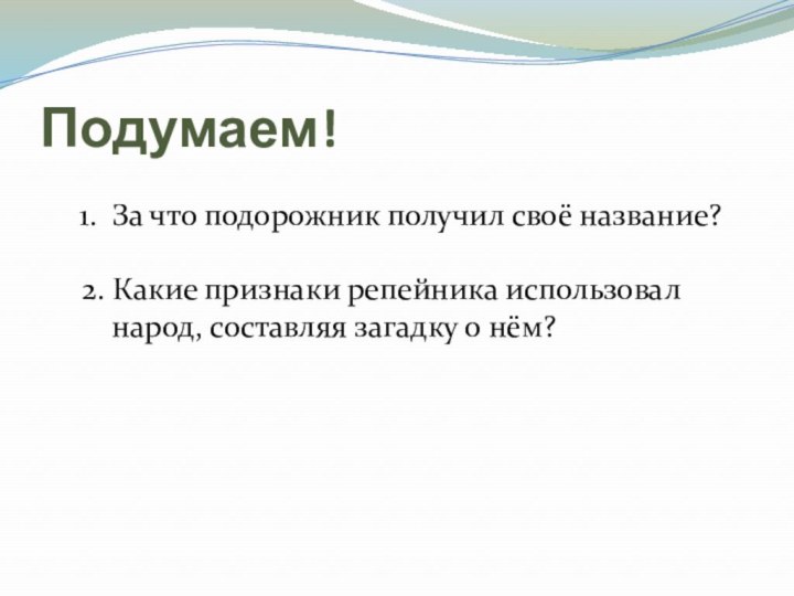 Подумаем!За что подорожник получил своё название?2. Какие признаки репейника использовал народ, составляя загадку о нём?