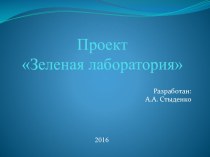 Презентация проекта Зеленая лаборатория на окне