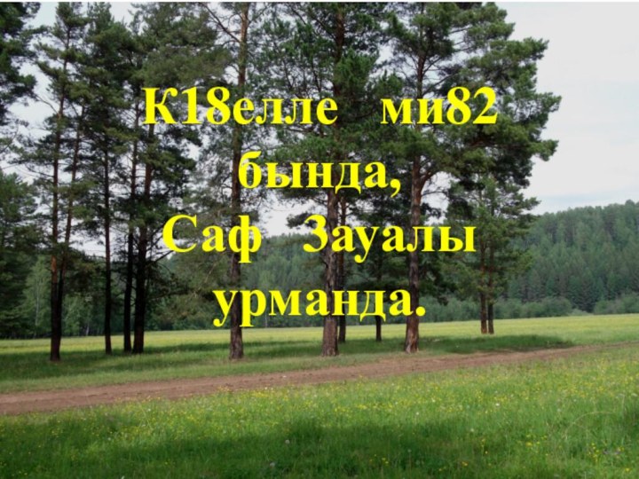 К18елле  ми82  бында, Саф  3ауалы  урманда.