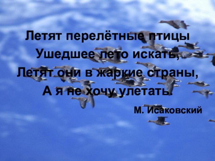 Летят перелётные птицыУшедшее лето искать,Летят они в жаркие страны,А я не хочу улетать.