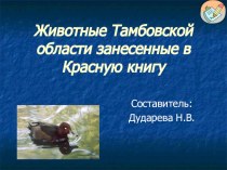 Презентация Животные Тамбовской области занесенные в Красную книгу