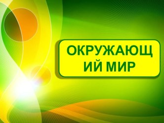 Презентация по окружающему миру на тему Разнообразие животных (3 класс)