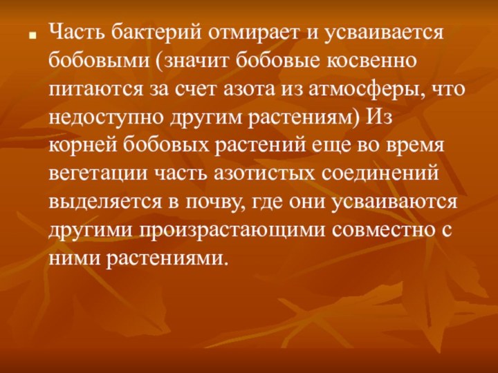 Часть бактерий отмирает и усваивается бобовыми (значит бобовые косвенно питаются за счет