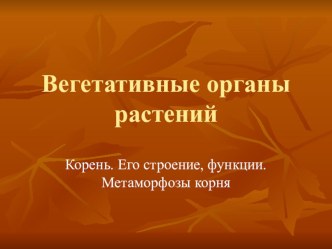 Презентация по дисциплине ПО.04 Ботаника с основами физиологии растений на тему Корень