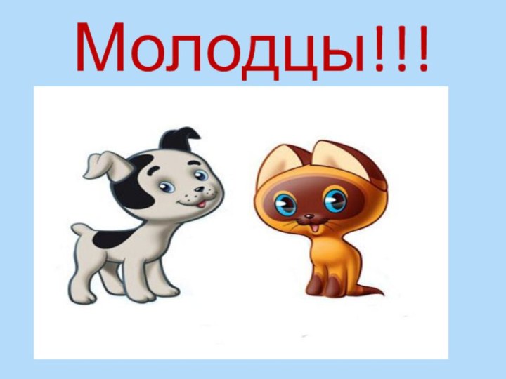 Молодцы!!!