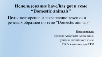 Использование have/has got в теме “Domestic animals”