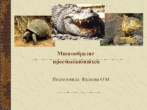 Разнообразие пресмыкающих занятия объединения Зоологи