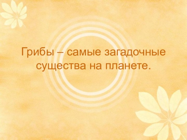 Грибы – самые загадочные существа на планете.