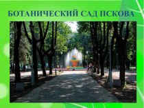 Презентация по географии на тему Ботанический сад Пскова