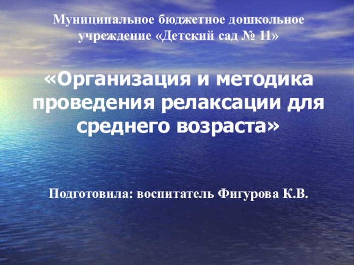 Муниципальное бюджетное дошкольное учреждение «Детский сад № 11»   «Организация и