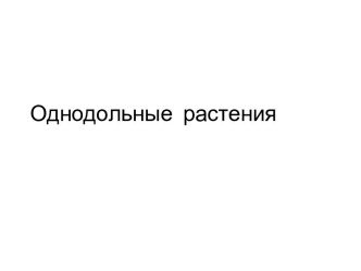 Презентация по биологии на тему Однодольные растения