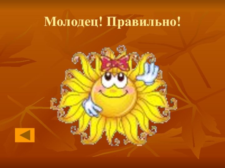 Молодец! Правильно!