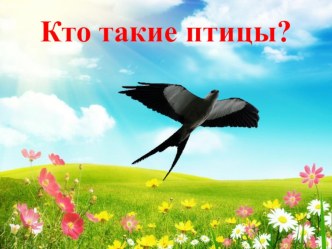 Презентация по окружающему миру на тему Кто такие птицы? (1 класс)