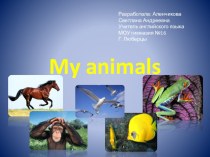 Презентайия на тему: My animals (3класс)