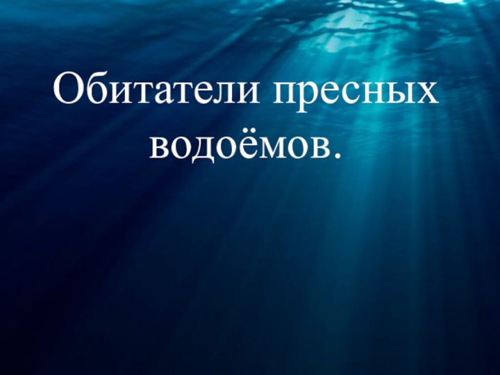 Обитатели пресных водоёмов.