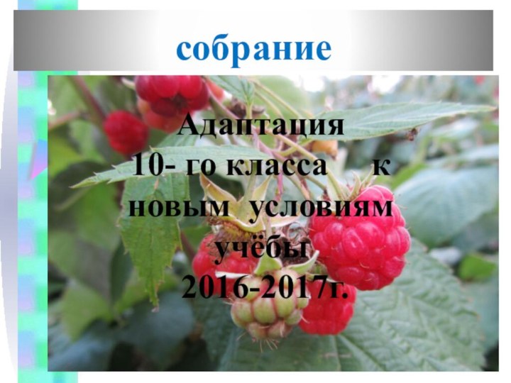 собрание Адаптация 10- го класса   к новым условиям учёбы 2016-2017г.