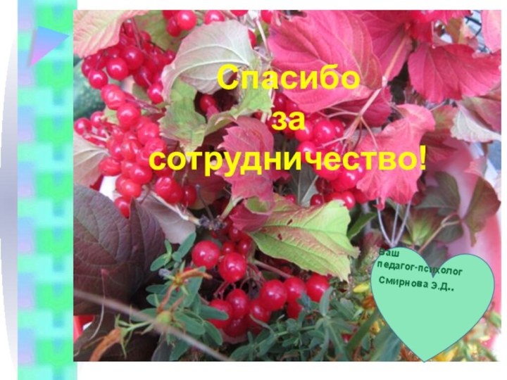 Спасибо  за  сотрудничество!  Ваш педагог-психолог  Смирнова Э.Д..