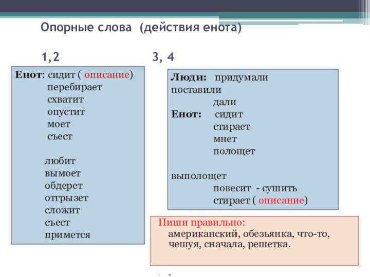 Опорные слова (действия енота)  	1,2					3, 4Пиши правильно:   американский, обезьянка,