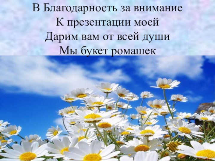 В Благодарность за внимание К презентации моей Дарим вам от всей души Мы букет ромашек