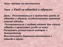 Презентация по технологии на тему Уход за одеждой и обувью