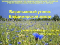 Презентация к внеклассному мероприятию Петушки - мой город родной