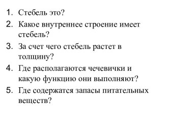 Презентация по биологии на тему Цветок (6 класс)