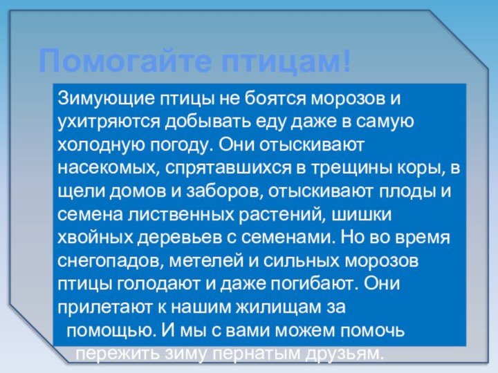 Зимующие птицы не боятся морозов и ухитряются добывать еду даже в самую