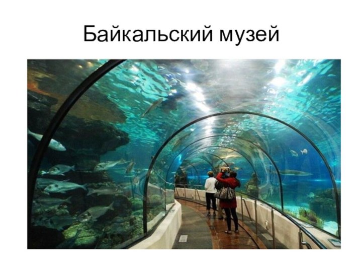 Байкальский музей