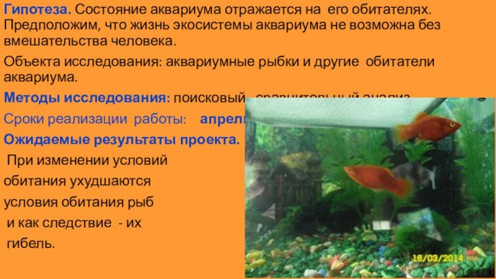 Гипотеза. Состояние аквариума отражается на его обитателях. Предположим, что жизнь экосистемы