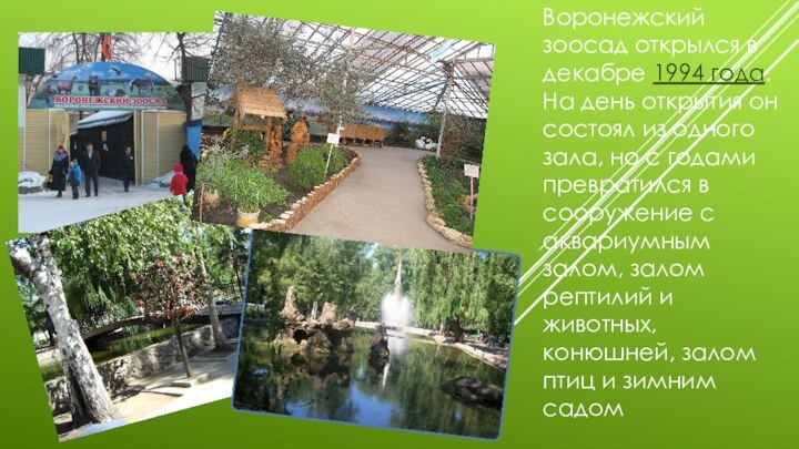 Воронежский зоосад открылся в декабре 1994 года. На день открытия он