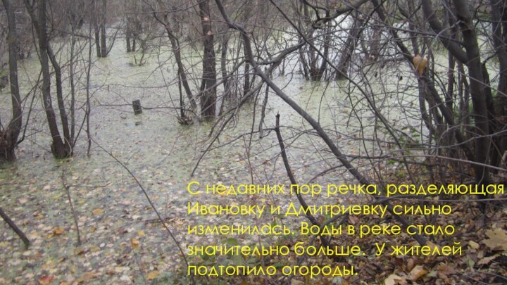 С недавних пор речка, разделяющая Ивановку и Дмитриевку сильно изменилась. Воды