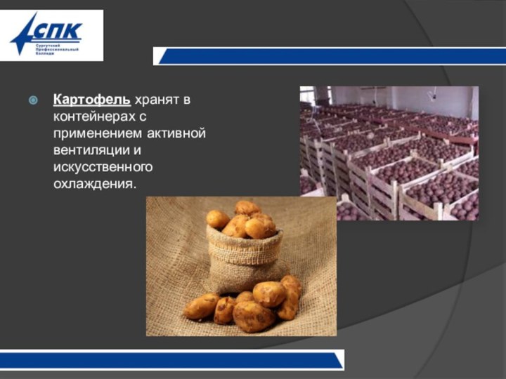 Картофель хранят в контейнерах с применением активной вентиляции и искусственного охлаждения.