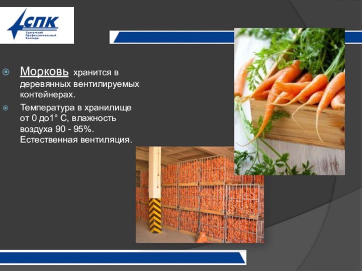 Морковь хранится в деревянных вентилируемых контейнерах.Температура в хранилище от 0 до1° С,
