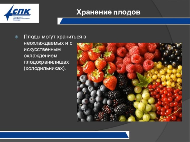 Хранение плодовПлоды могут храниться в неохлаждаемых и с искусственным охлаждением плодохранилищах (холодильниках).