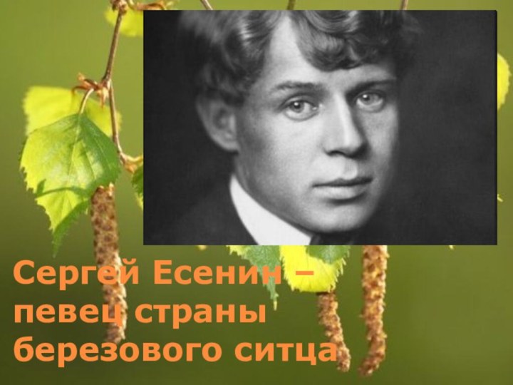 Сергей Есенин – певец страны березового ситца
