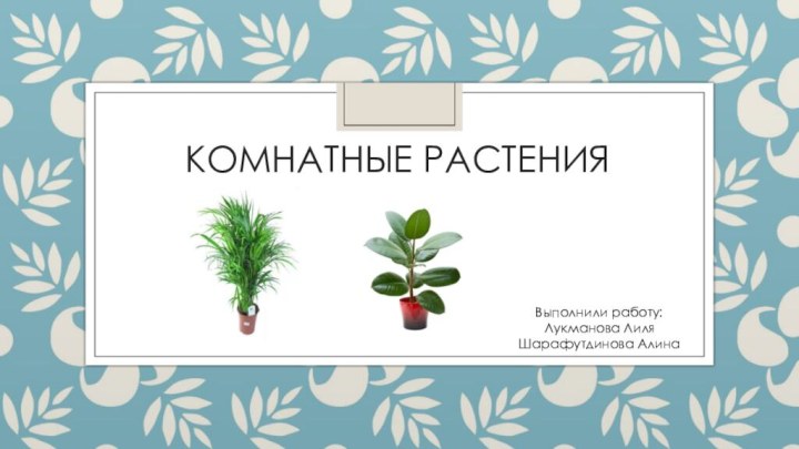 Комнатные растения Выполнили работу: Лукманова ЛиляШарафутдинова Алина