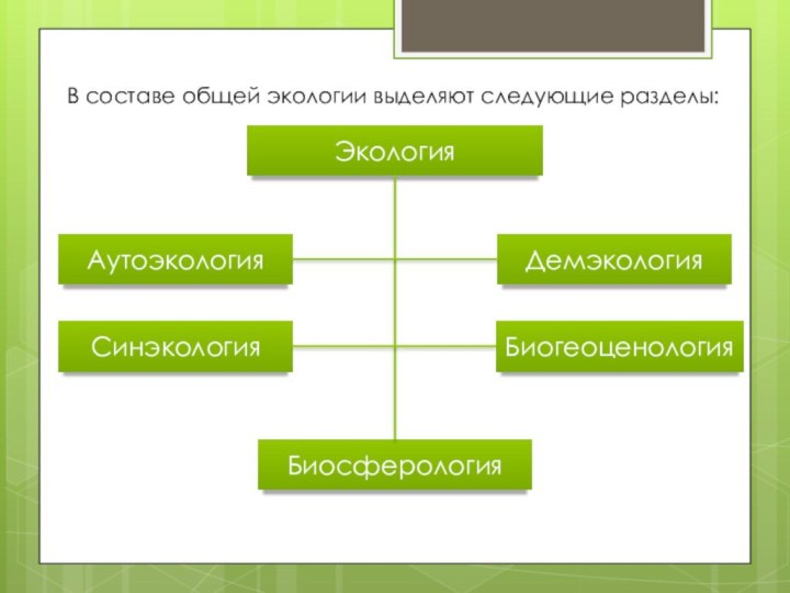В составе общей экологии выделяют следующие разделы:ЭкологияАутоэкологияСинэкологияДемэкологияБиосферологияБиогеоценология