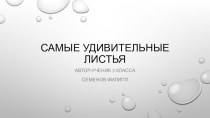 Самые удивительные листья 3 класс